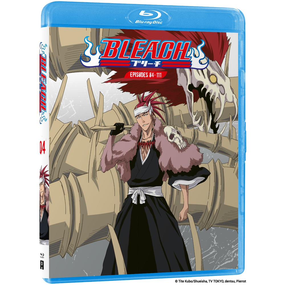 Bleach Vol 4 Bild 1