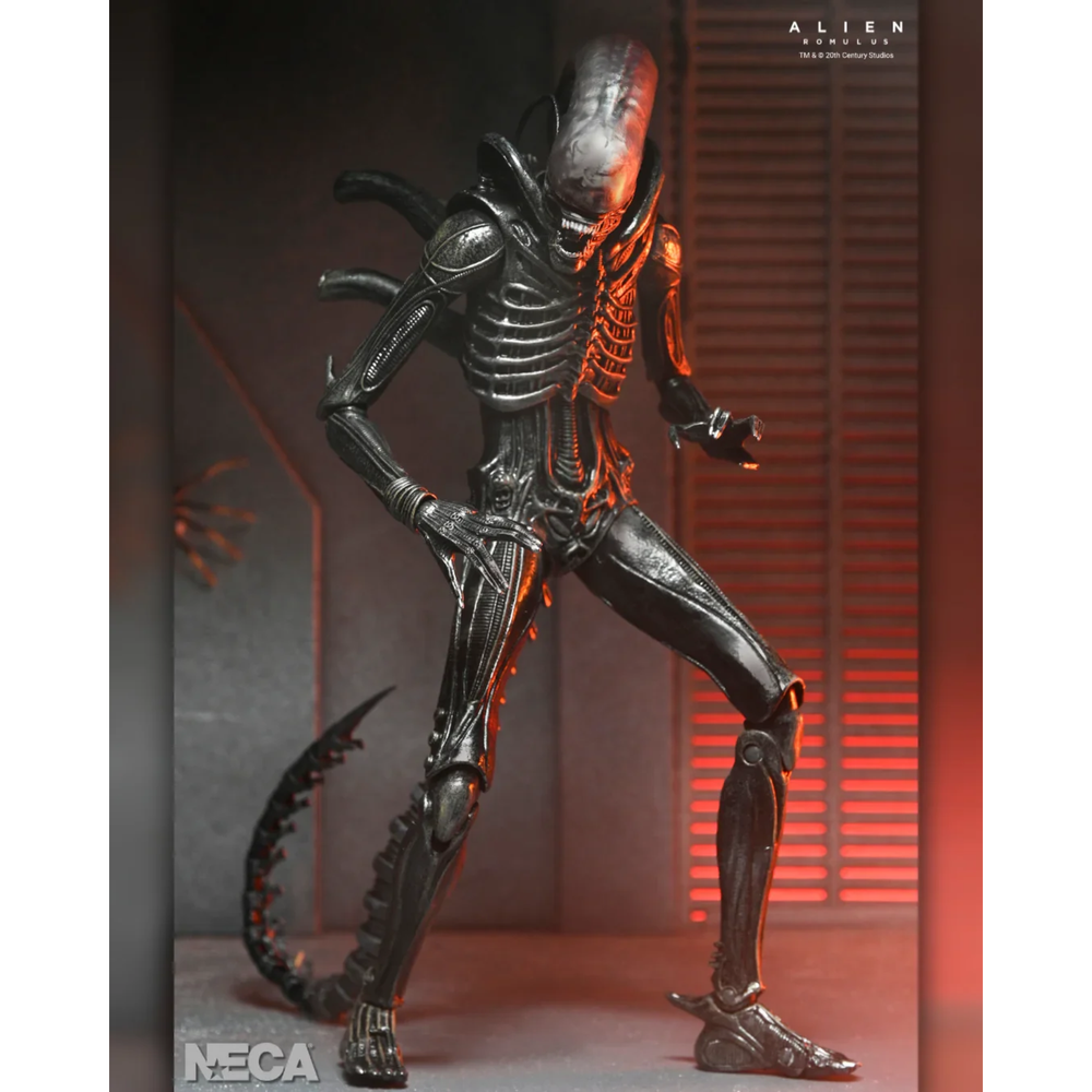 NECA - ALIEN: ROMULUS XENOMORPH XX121 ULTIMATE 7 INCH SCALE ACTION FIGURE Bild 1