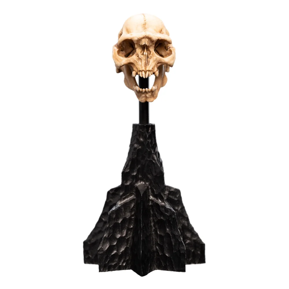 Weta Workshop Lord of the Rings Mini Statue Skull of a Moria Orc 13cm Bild 1
