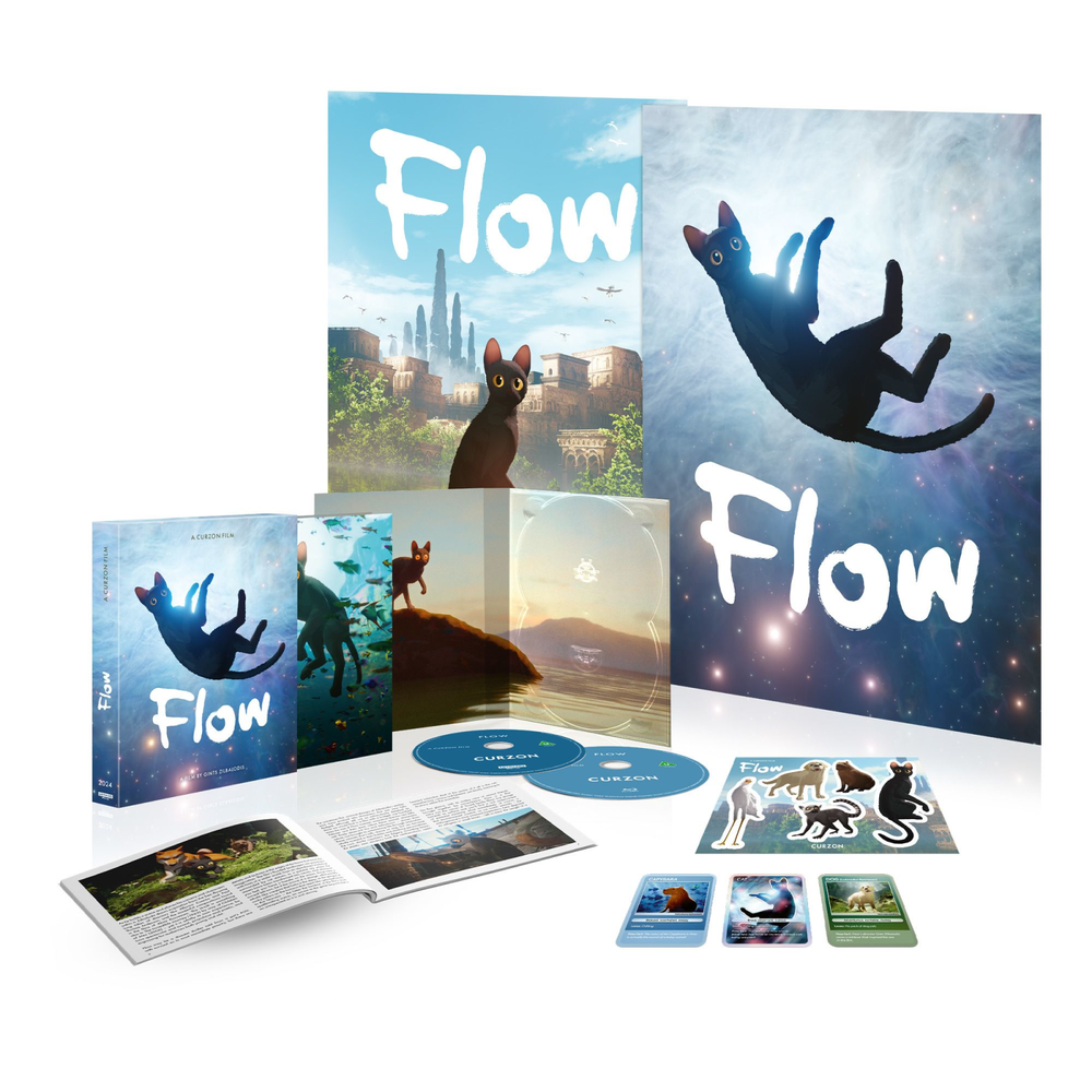 Flow Limited Edition 4K Ultra HD (includes Blu-ray) Bild 1