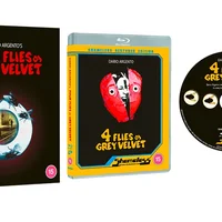 Four Flies on Grey Velvet