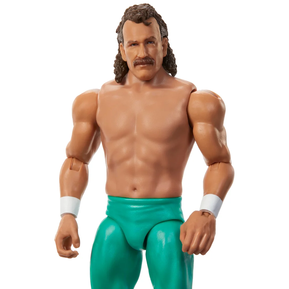 WWE Main Event Series 154 Jake Roberts Action Figure (6"") Bild 1