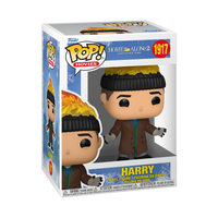 Home Alone 2 Harry Funko Pop Vinyl - undefined undefined