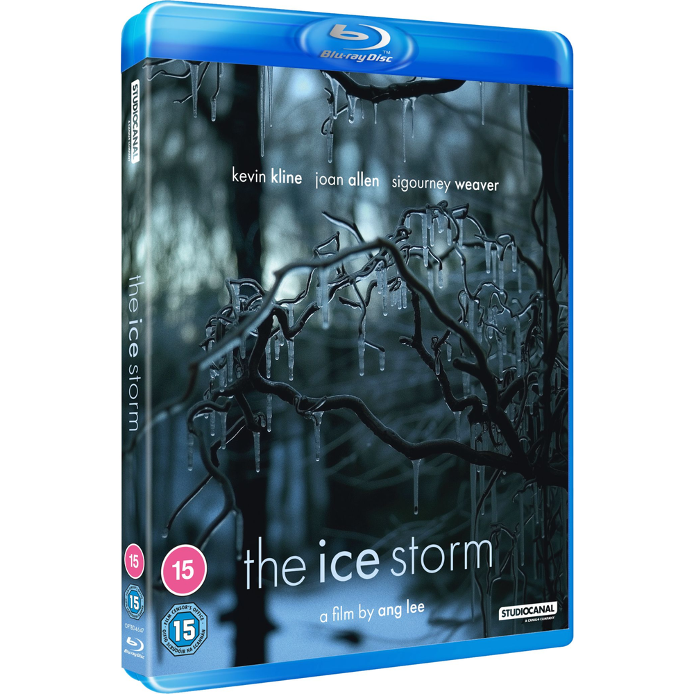 The Ice Storm Bild 1