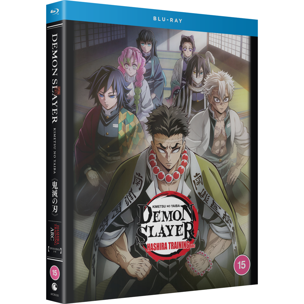 Demon Slayer: Kimetsu no Yaiba: Hashira Training Arc Bild 1