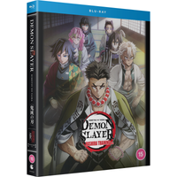Demon Slayer: Kimetsu no Yaiba: Hashira Training Arc