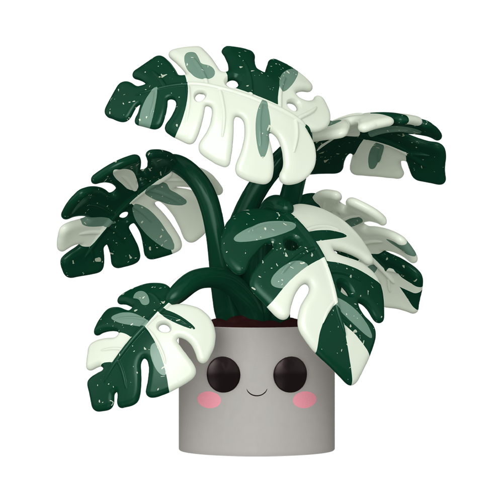 POP Jumbo: Flora- Monstera Bild 1