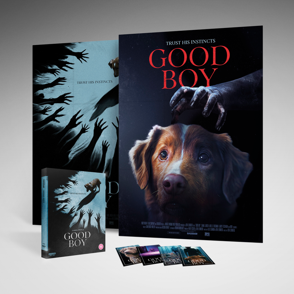 Good Boy 4K Ultra HD Bild 1