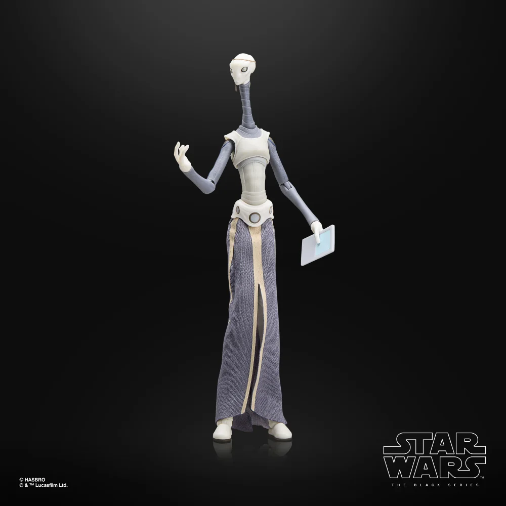 Hasbro Star Wars The Black Series Taun We Action Figure (6") Bild 1