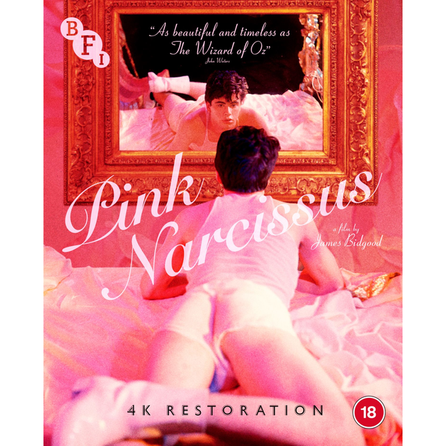Pink Narcissus