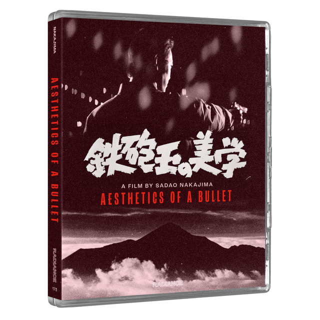 Aesthetics of a Bullet (Limited Edition)