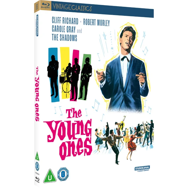 YOUNG ONES (VINTAGE CLASSICS)