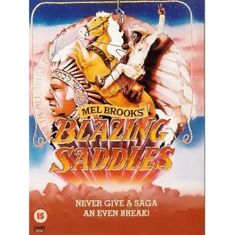 BLAZING SADDLES (WIDE SCREEN) (DVD) Bild 1