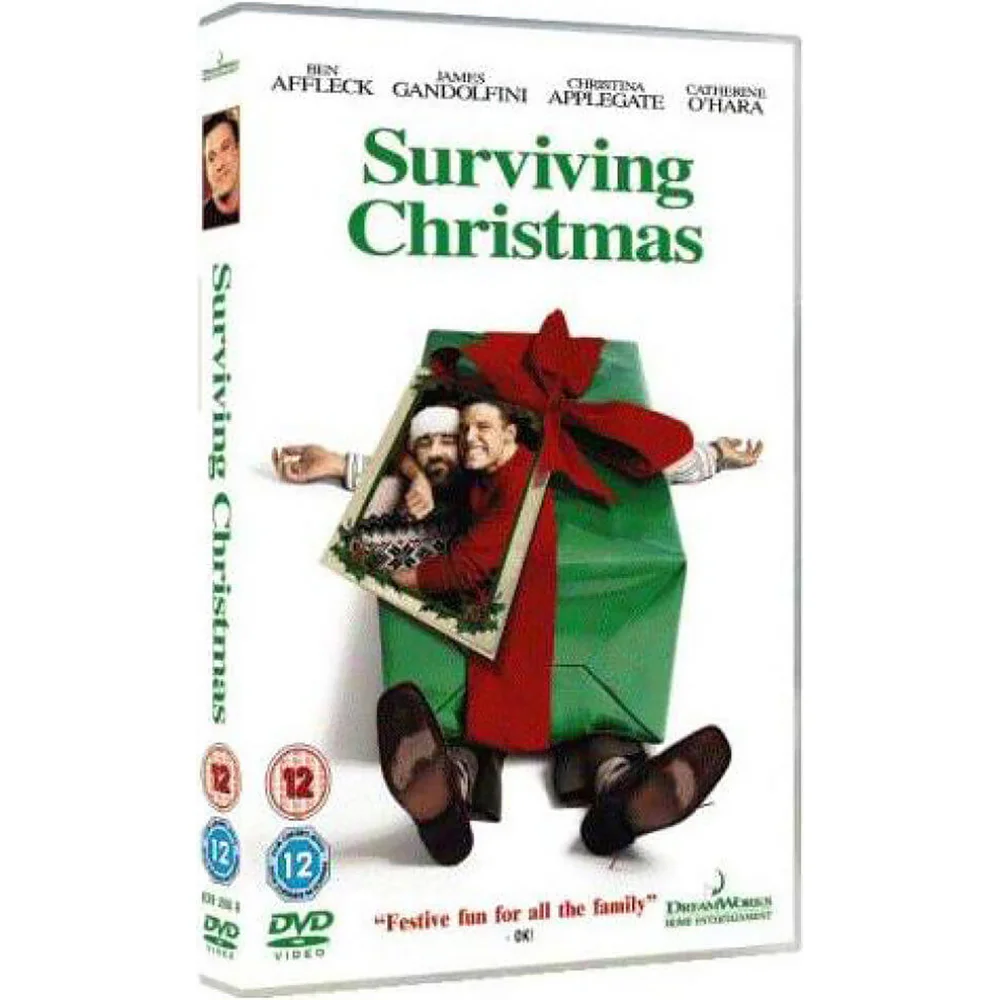 Surviving Christmas Bild 1