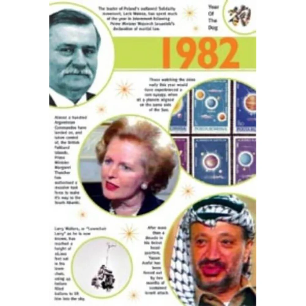 TIME OF YOUR LIFE THE - 1982 (DVD) Bild 1