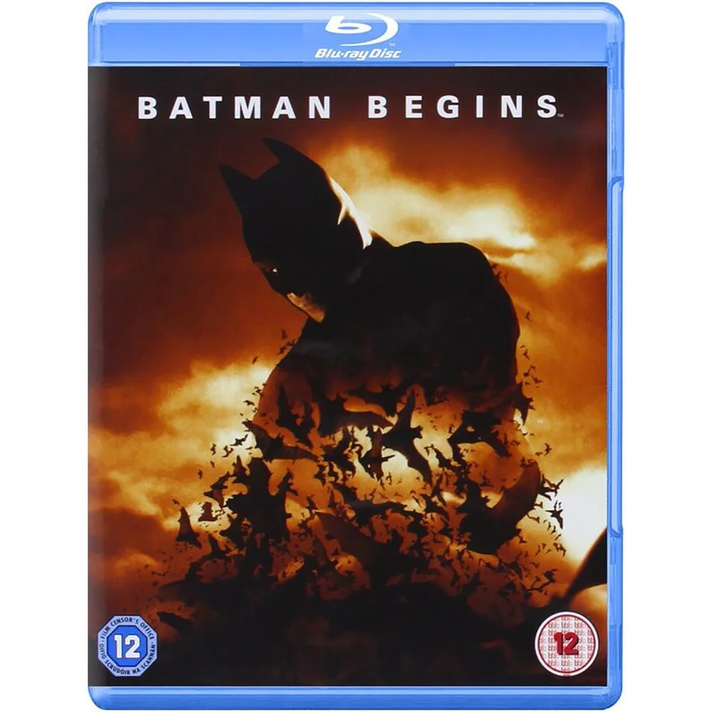 Batman Begins Bild 1