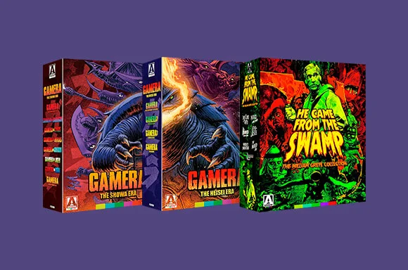 ARROW VIDEO PREISSTURZ