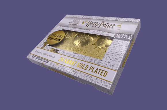 Biglietto replica Harry Potter